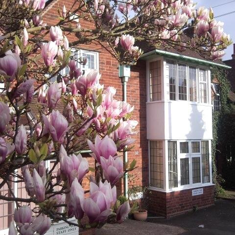 Lifeways is a natural health charity based in Stratford upon Avon