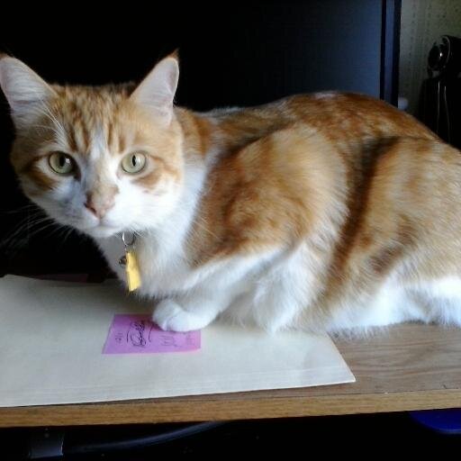 MsPearl67's profile picture. 