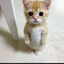 Matt Trimble - @MattTrimble3 - Twitter