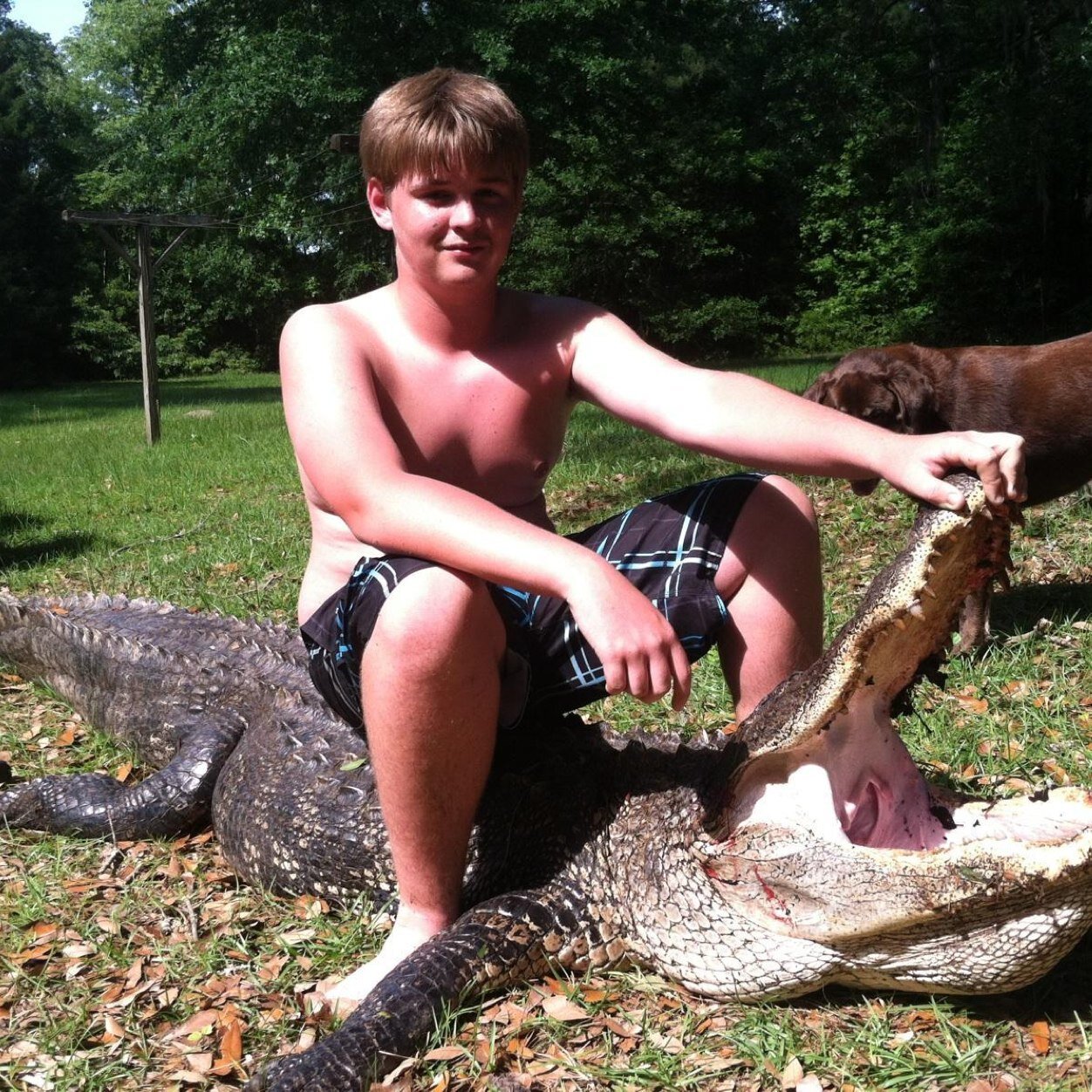 RoleSwat's profile picture. Follow other acc. @StunStorm