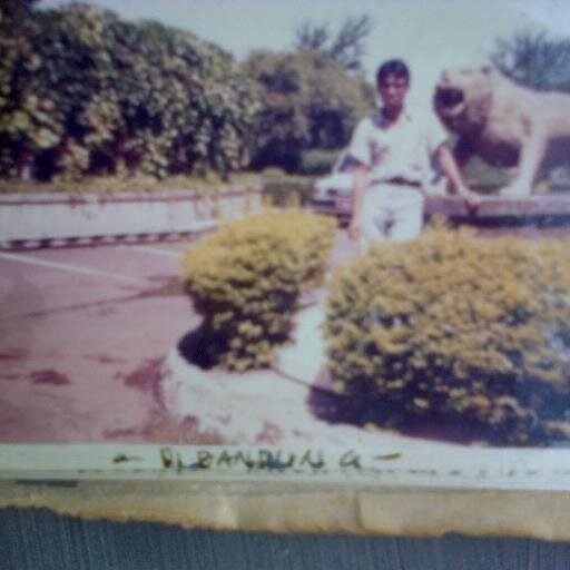 Guru SMPN 11 REJANG LEBONG