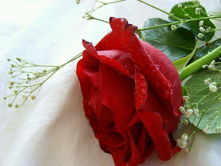 sagdsari55's profile picture. ربي مالم تكتبهُ لي , خذه مِن قلبي وعوضني بِأجمل مِنه يَارب ♥ !