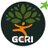 2014geri's profile image