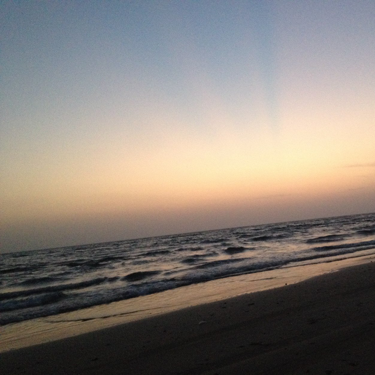 NomoonrNouf's profile picture. المملكة العربية السعودية