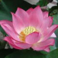 Transformational Tools for Body Energy and Mind
New posts and updates delivered as a tweet feed :-)