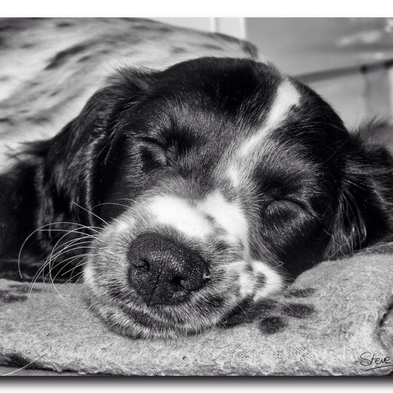 CatherineCox6's profile picture. 