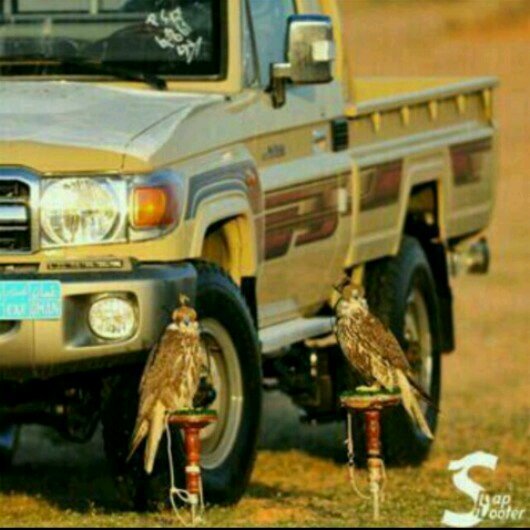 ‏‏قۆيََ آلُُعڒٍۆم معربْْ آلُُخــآلُُ ۆآلُُجٍٍدِِيََ يََنْْۆمس بْْنْْيََ عمہ لُُيََآ حٍٍلُُ ميََقآفََہ يََشُُۆشُُ بْْرآس آلُُعۆلُُآجٍٍآگ متٌٌح