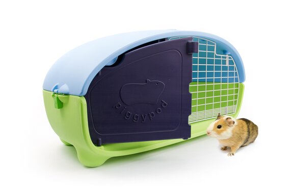Give your guinea pigs a new home.