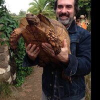 Geoff Watts (@geoff_watts) 's Twitter Profile