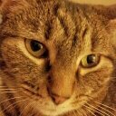 Pat Trahan - @trahan708 - Twitter