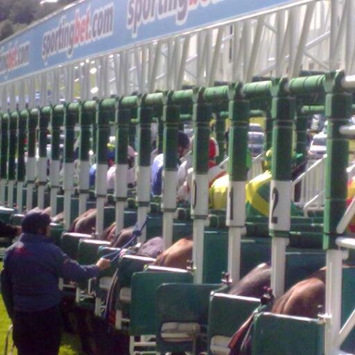 Horse Racing Trader providing free trades and now free tips!!