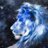 kristofef's profile image