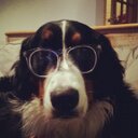 Taylor Michaud - @t_michaud - Twitter