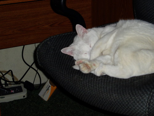 pitstop513's profile picture. 