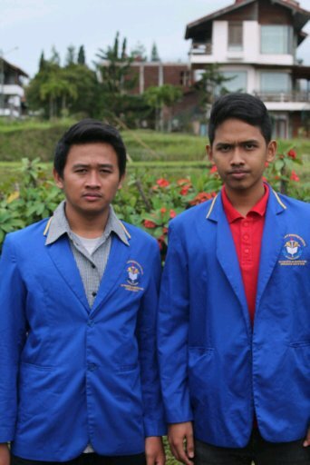 Profesional dan BRsahabat