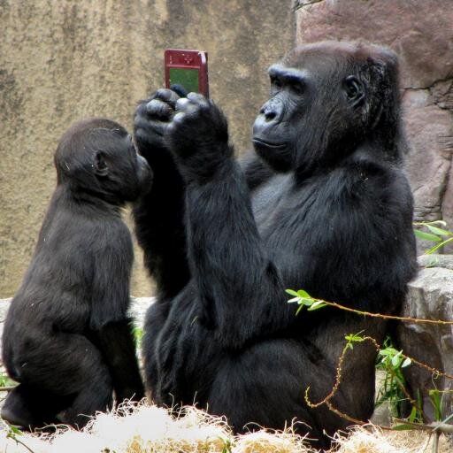 jmsa1967's profile picture. Nacer es empezar a morir