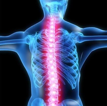 TheChiroClinic's profile picture. Multi-practitioner chiropractic clinic in Wirral, specialising in neuro-musculoskeletal pain relief and management. 
Contact us on 0151 6485000.