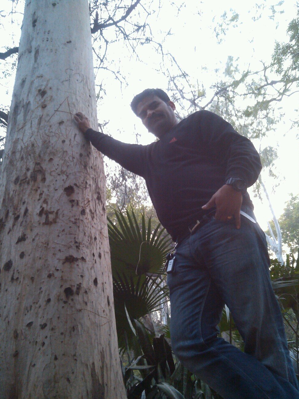 bhantol Profile Picture