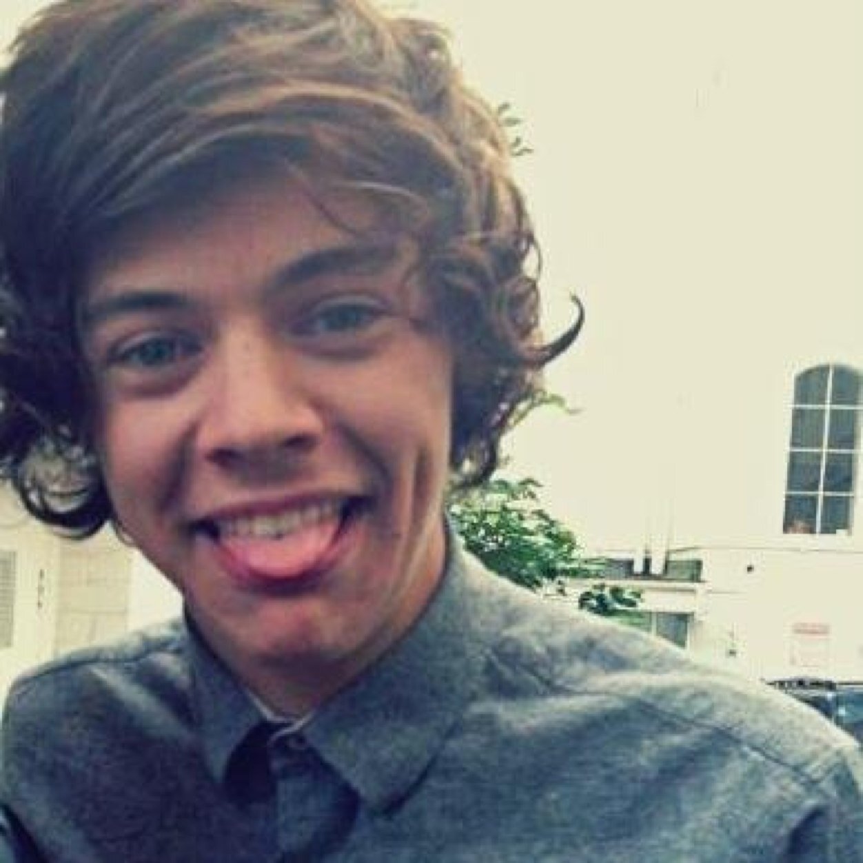 TwitorFake's profile picture. Dm me bitches