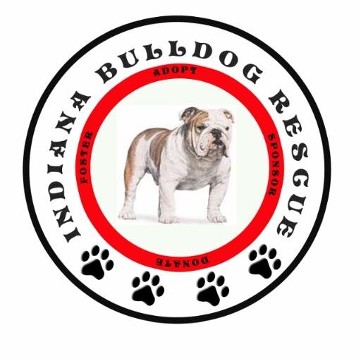 The IBR is a 501c3 non-profit animal rescue that re-homes English Bulldogs in Indiana, Kentucky & Ohio.

http://t.co/G7KepCC7oq