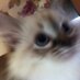 Алина (@alinafway) Twitter profile photo