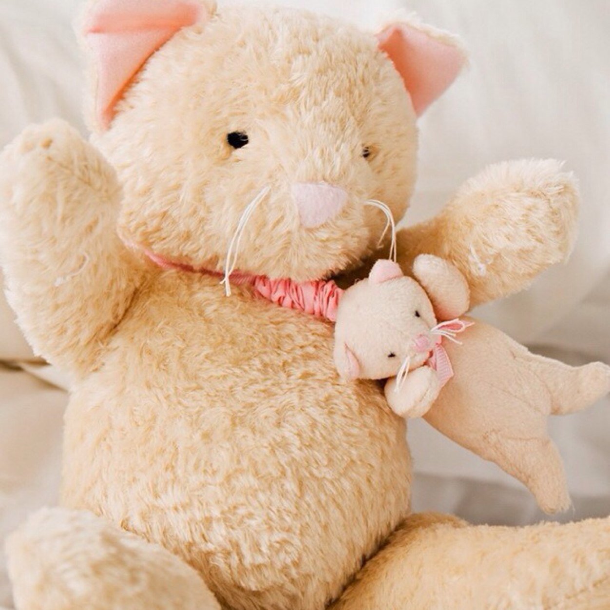 trannyphan's profile picture. 