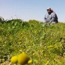 محمد الجبيل البلوي (@0535345905) Twitter