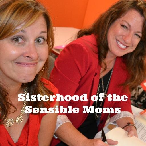 Erin & Ellen. Two friends. One blog. Proving that sensible and funny are not mutually exclusive. Pass the Cheez-its. #VOTY http://t.co/Wqhxcxv7GC