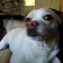 thorlove - @PattiHiggins1 - Twitter