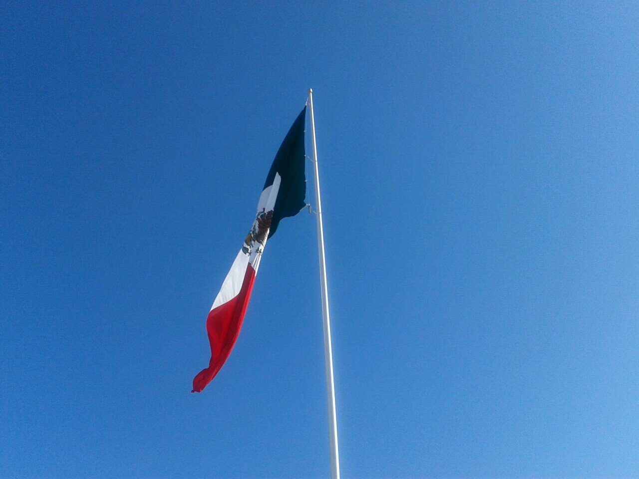 AlbertoMussi's profile picture. Maestro de la seccion 5 del snte