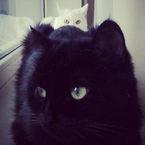 jennyfriday's profile picture. 