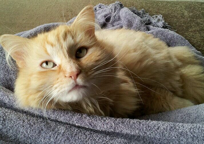 elaverty8's profile picture. 