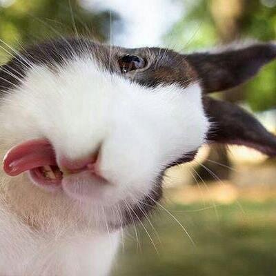 RonDumbThoughts's profile picture. a sinner gone astray....