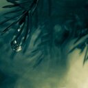 Ana Allen - @anaallen71a - Twitter