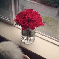 حسآبي ملغي  (@aljasmee2014) 's Twitter Profile