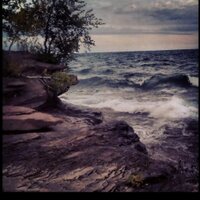 Joni Johnson (@insideshredbox) 's Twitter Profile