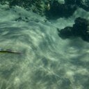 Judy - @judy_prieto - Twitter