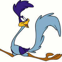 Roadrunner MSU (@roadrunnermsu) 's Twitter Profile