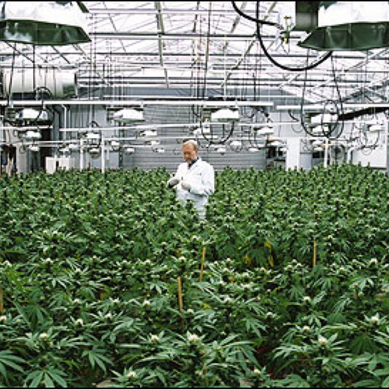 ABHorticulture's profile picture. We the class of horticulture.