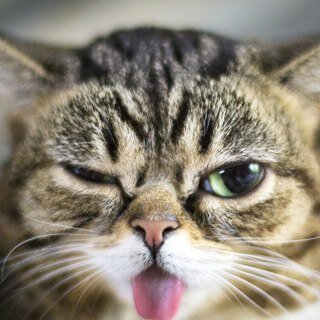 funnythoughts63's profile picture. hi