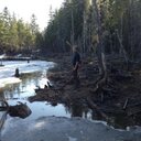 Aiden Bothwell - @AidenBothwell - Twitter