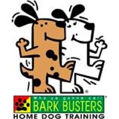 Dog Behavioral Therapist & Trainer For Fairfield County, CT. From aggression in adult dogs to working with new puppies, there's no problem I cannot help with.