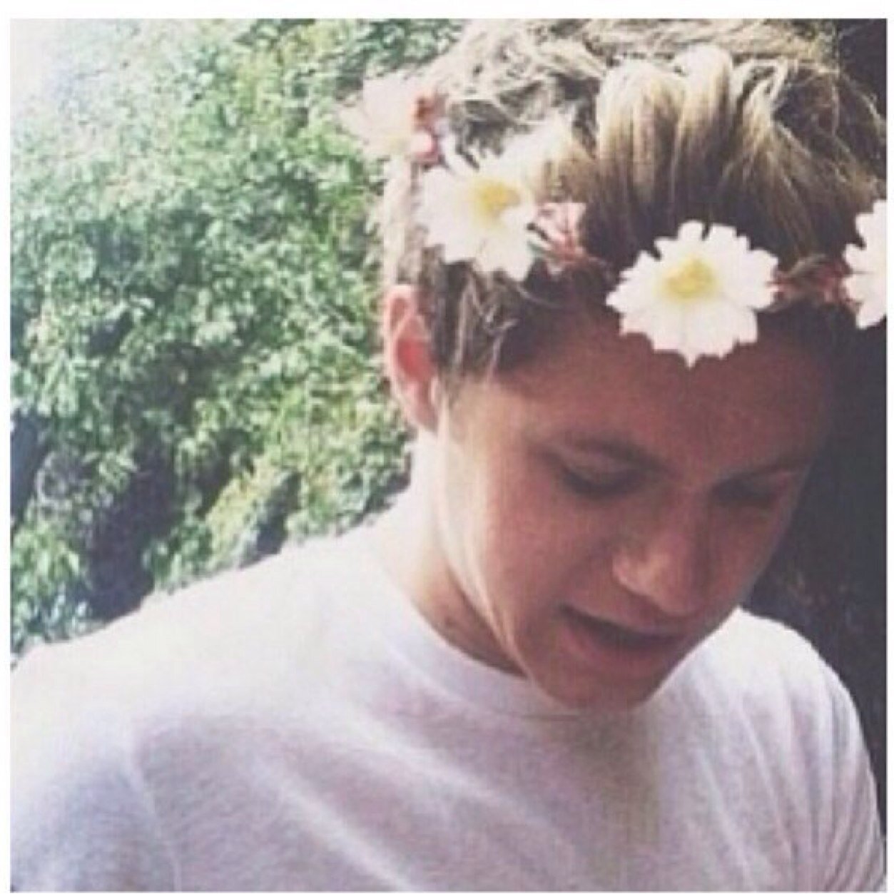 follow @niallporn ask her for a follow back - and rt the link in her bio:) https://t.co/5L1horiSSw