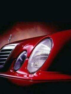 RADICALMOTOS's profile picture. Стая пираний съедает быка за двенадцать минут, оставляя только барсетку и спортивные штаны.