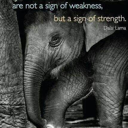 brey571's profile picture. 