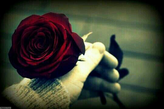 ☆ ‏مآبين وجع الأصَدقاء وخيبآت الآقربآء وبعد الحبيب وفَقد الآب .. أعيش هنآك☆