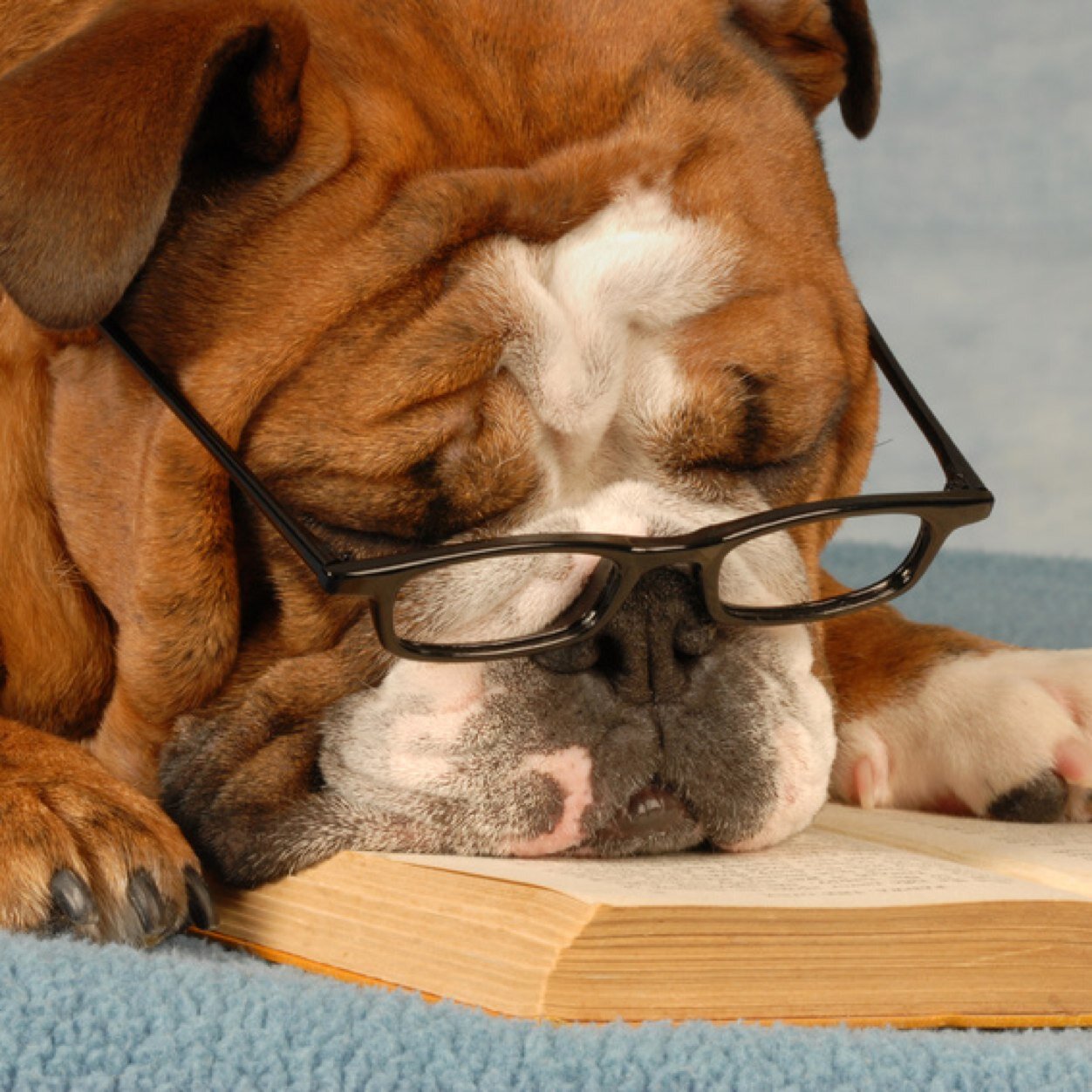 Writer M/M romance