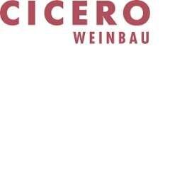 Weingut in Graubünden in der Schweiz mit Schwerpunkt Pinot Noir.