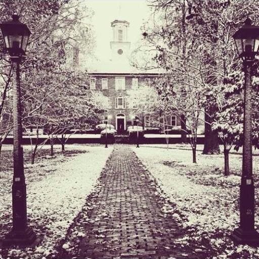 SeanMOU's profile picture. 