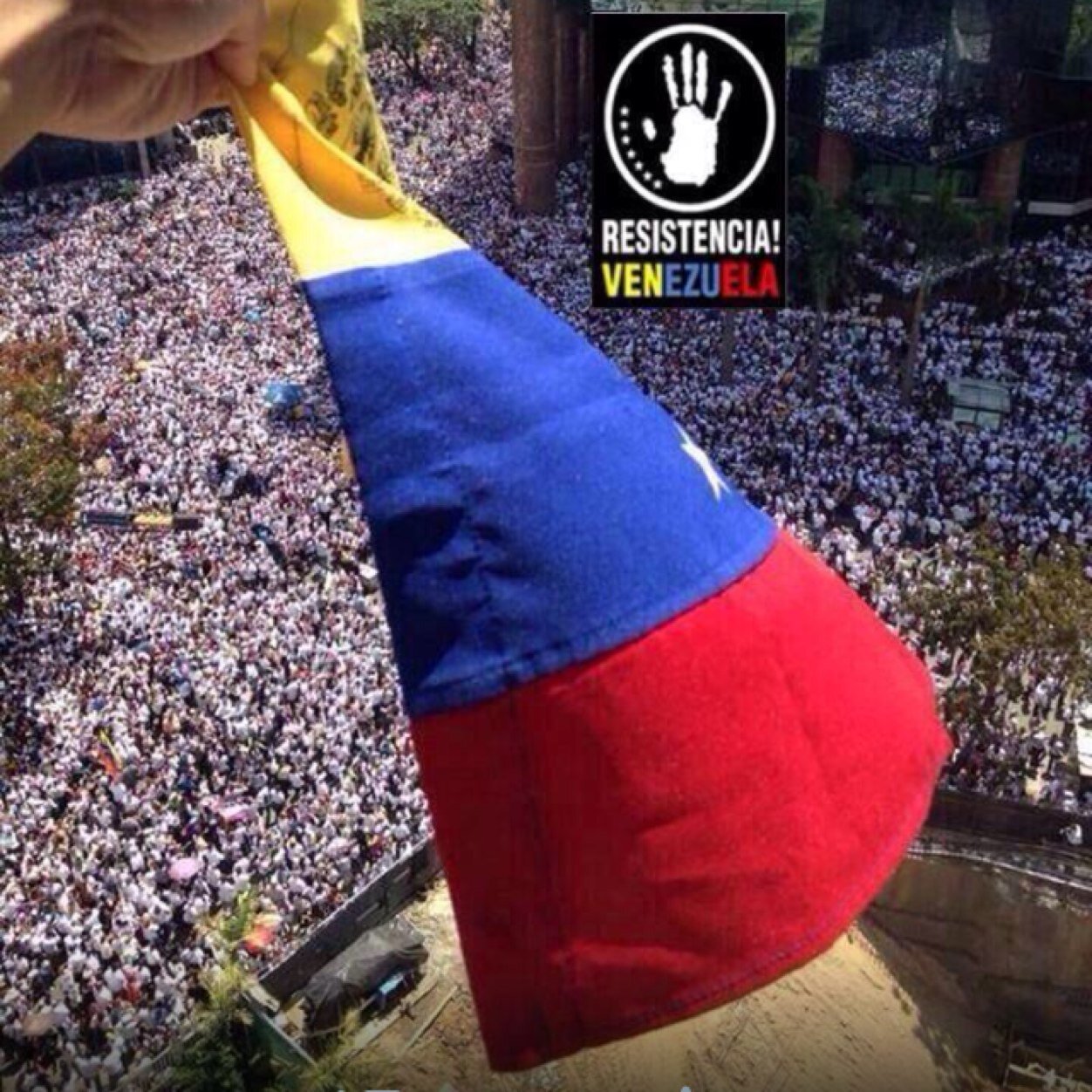 macociliberto's profile picture. 